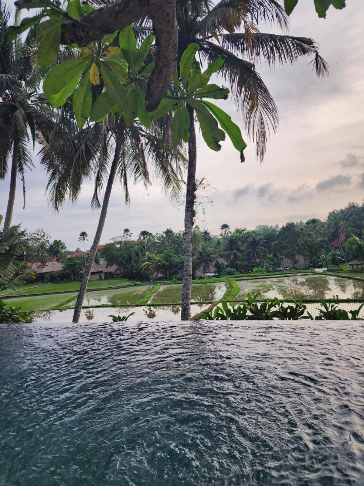 Motama Villa Ubud  Exterior photo