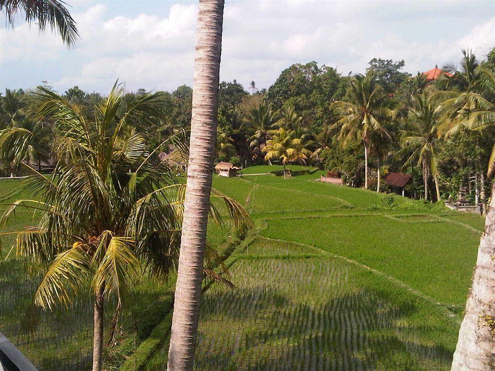 Motama Villa Ubud  Exterior photo